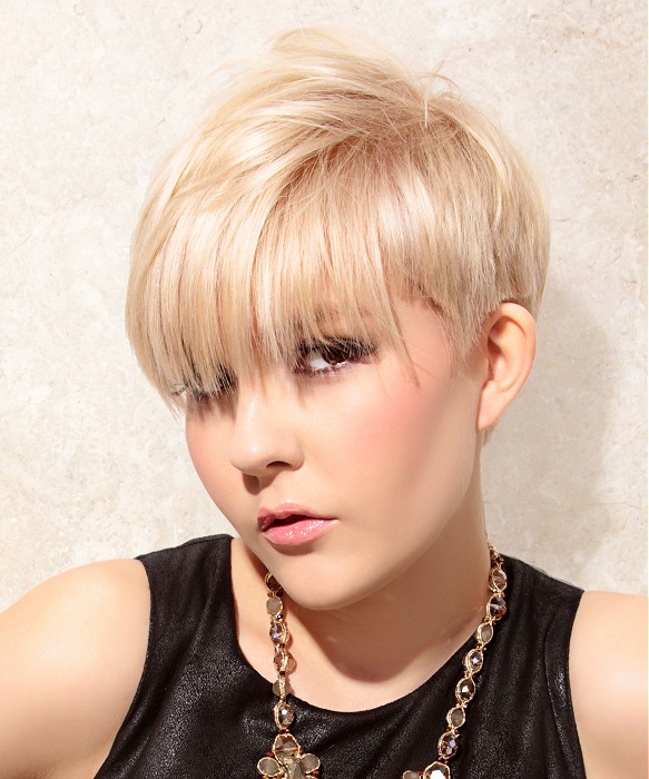 Paul Kenneth Salon Short Blonde Hairstyles